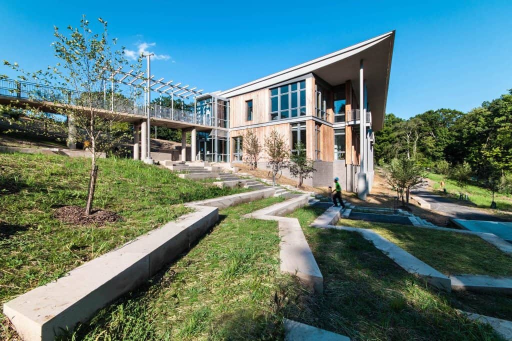 Wildlife Observation