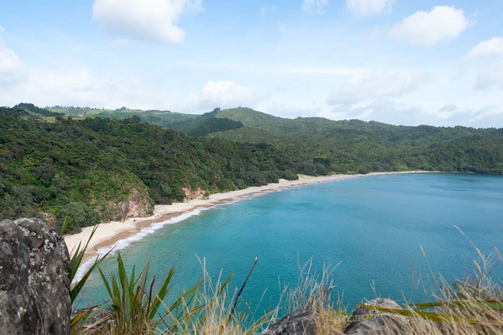 New Chums Beach Coromandel