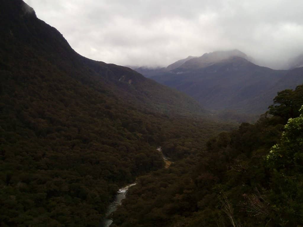 Hollyford Valley Vista
