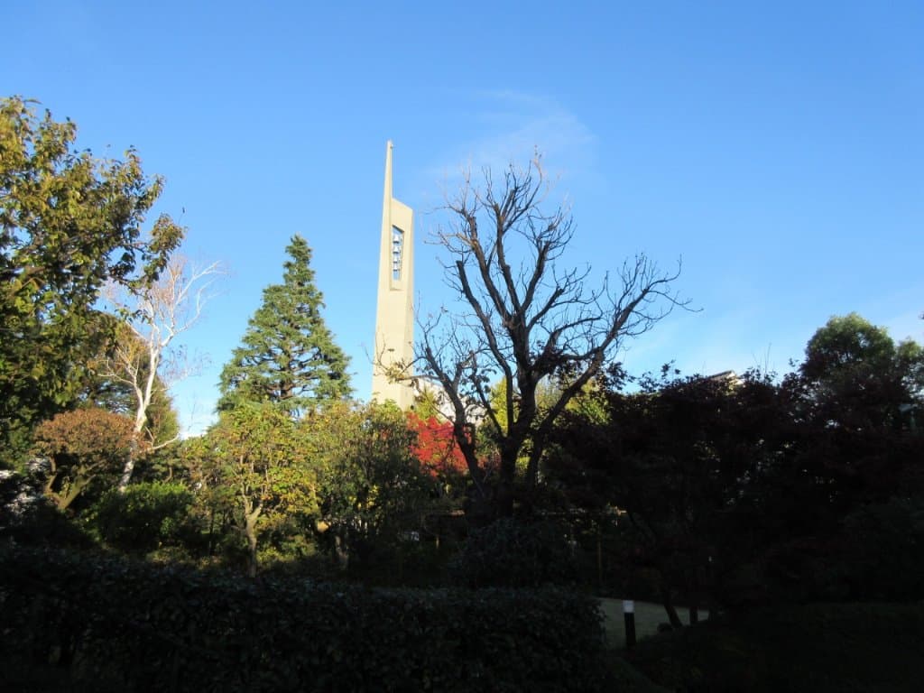 庭からの景色