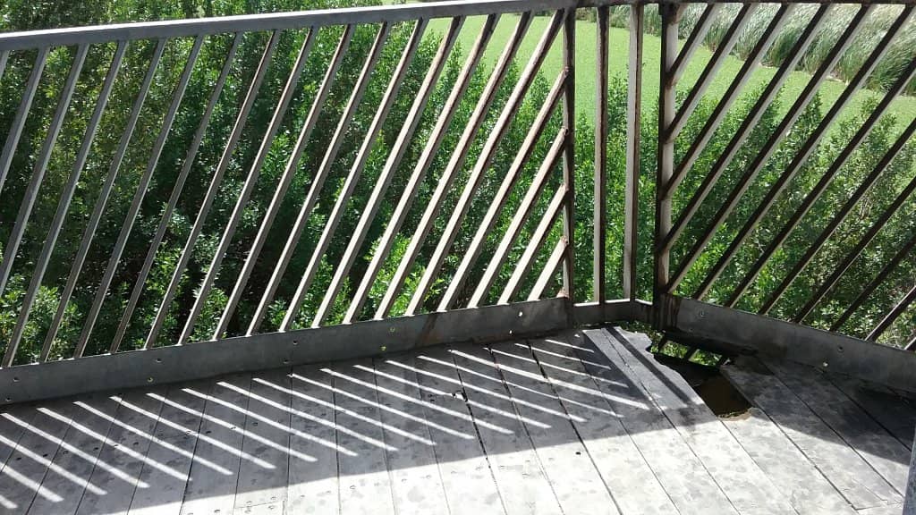 Vertical photo