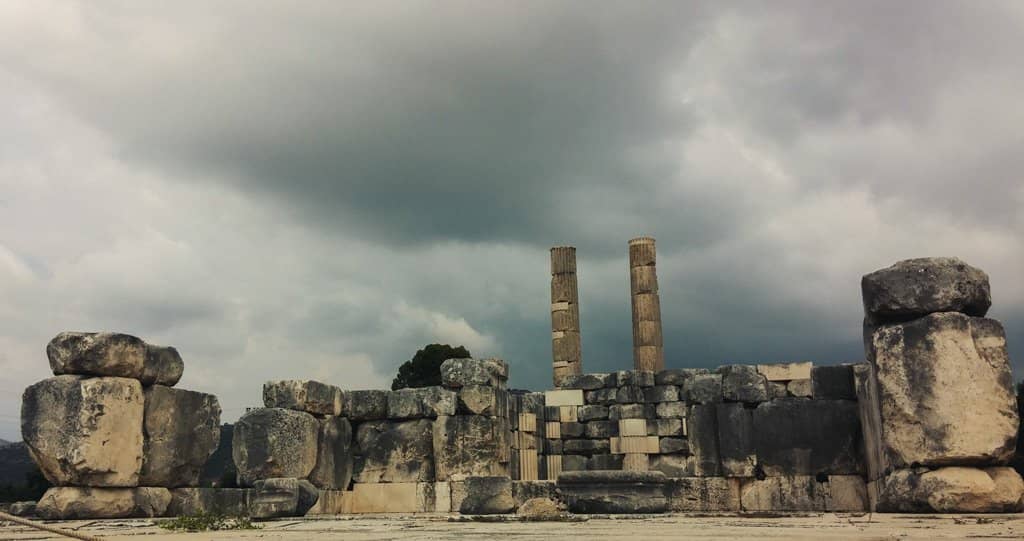 Tranquil Pond with Turtles