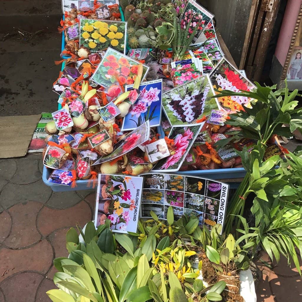 Local Flavors