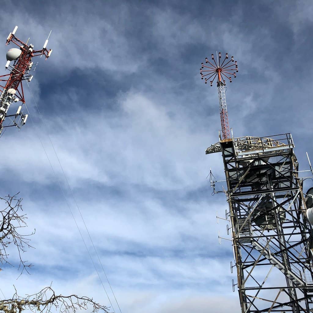 Indigenous Cedar Stripping Examples