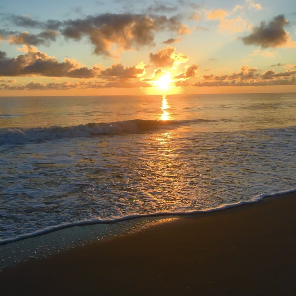 South Beach Park