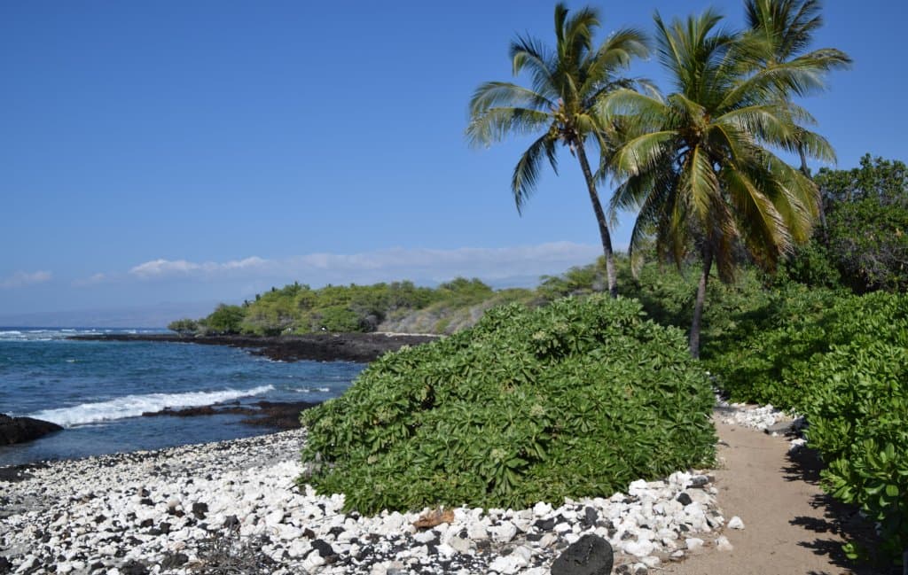 Salt and pepper beach with walking path near Puako Petroglyphs Trail