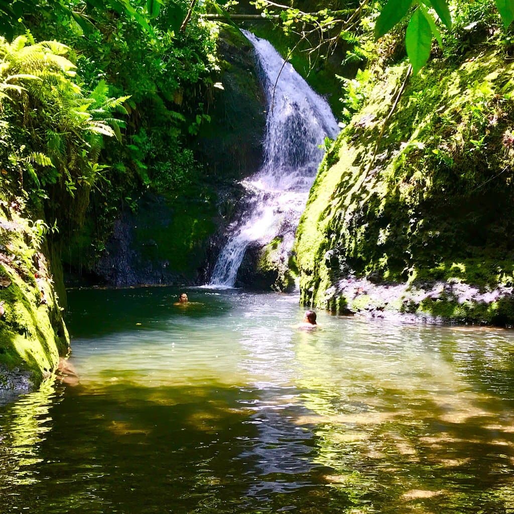 Wigmore's Waterfall Papua