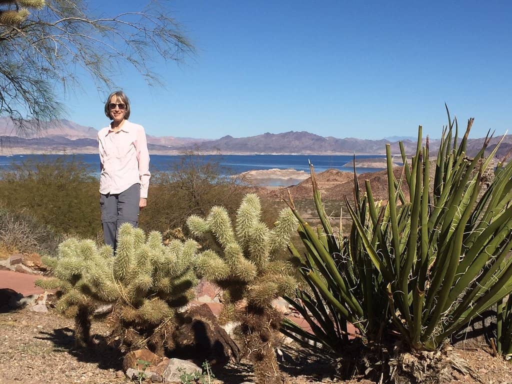 Vegas Valley Overlook