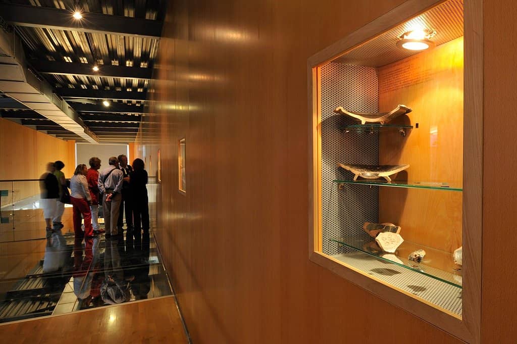 The Punic Wall Ruins