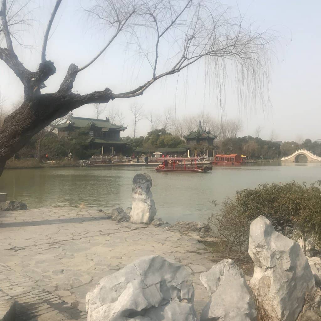 Mangrove Coastline Views