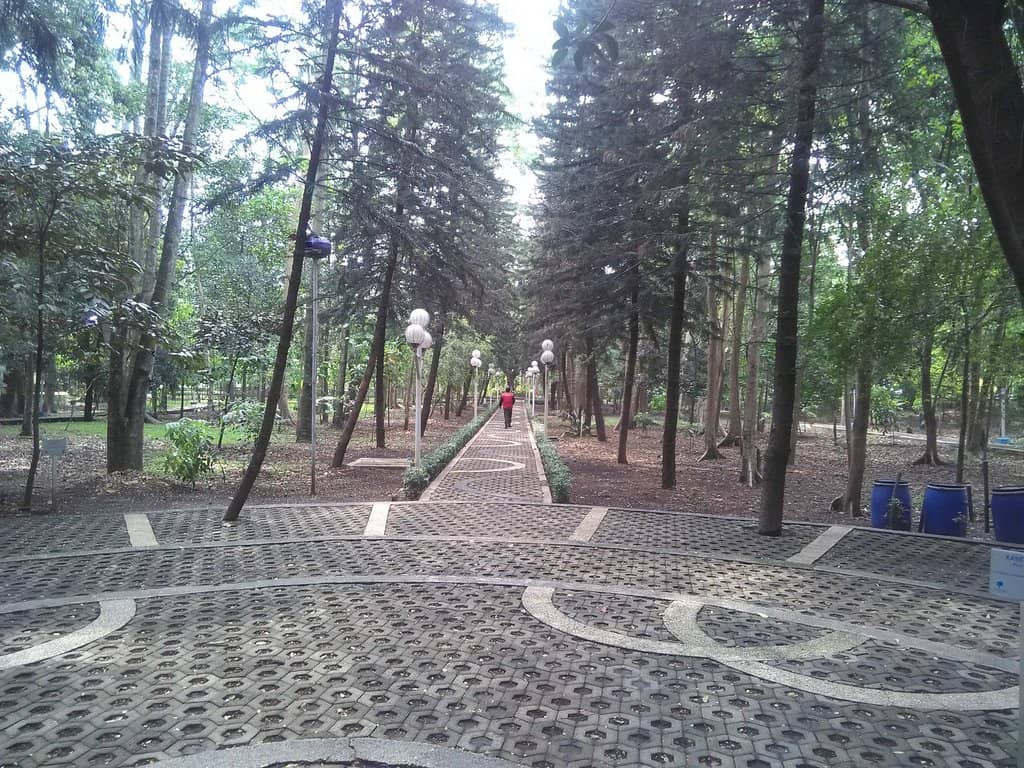 Peaceful Jogging Track