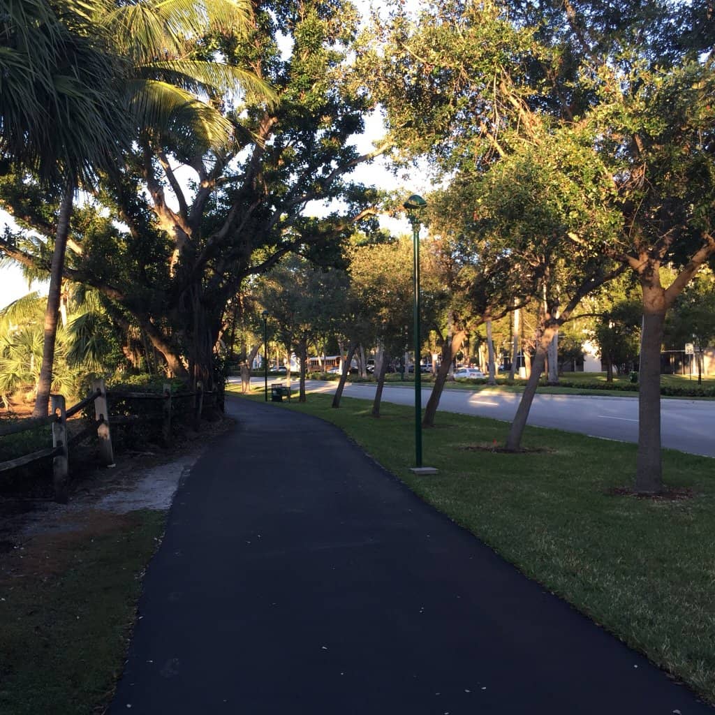 Shaded Benches