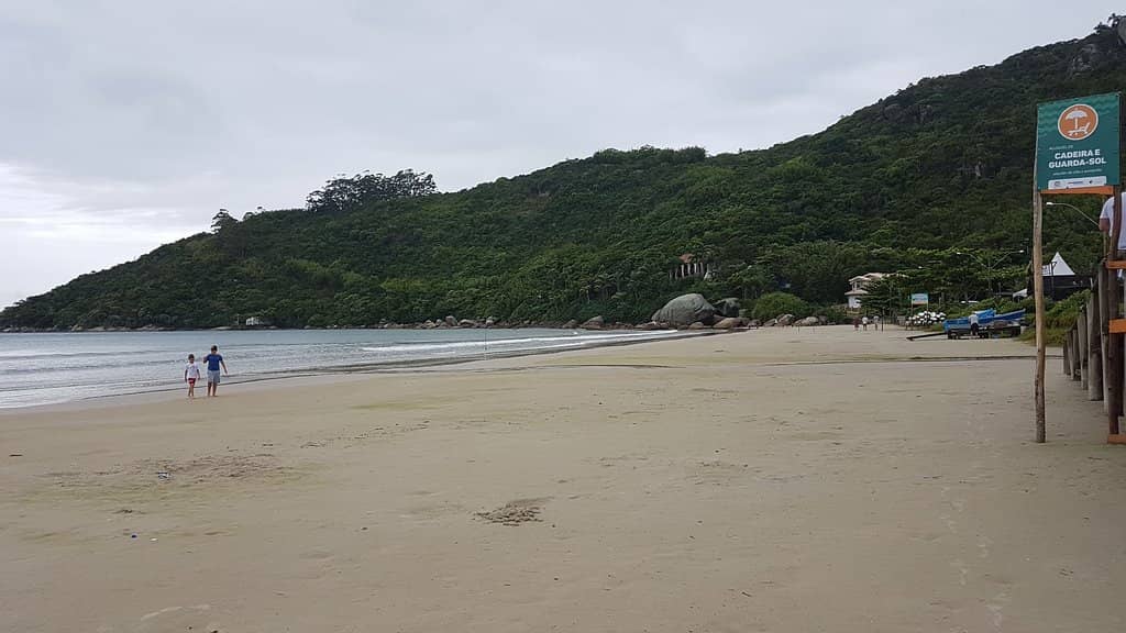 Crystal Clear Waters