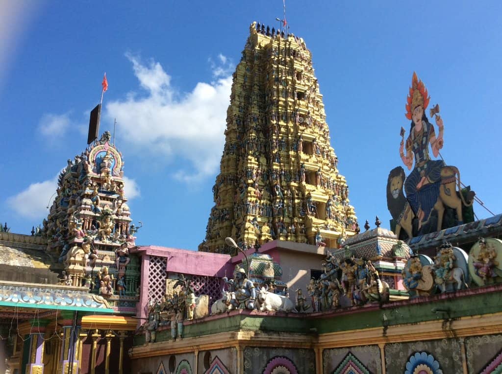 Intricate Gopuram Towers