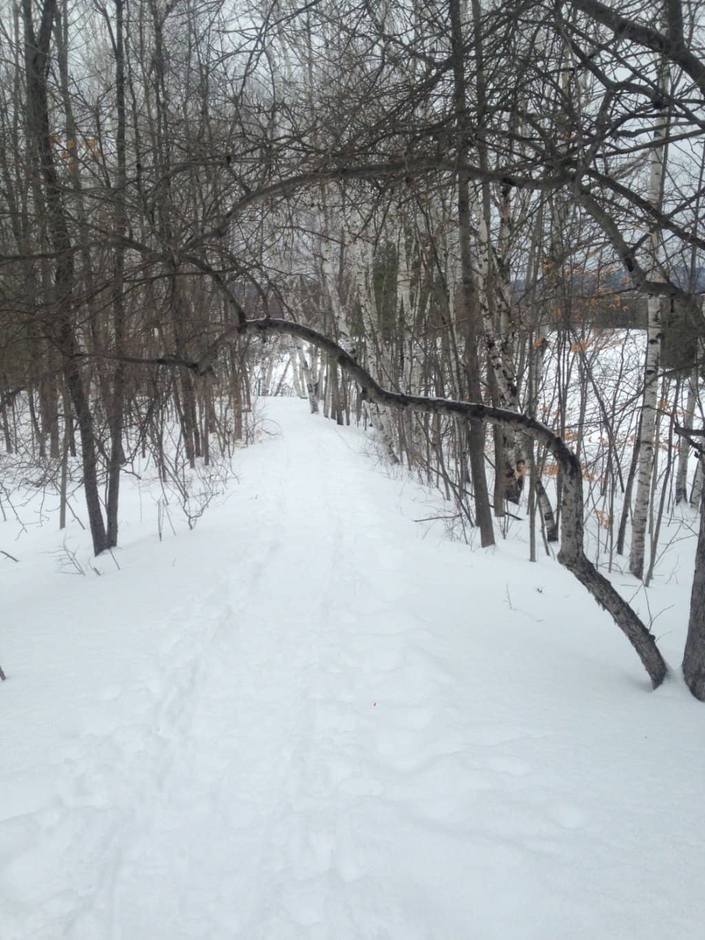 Winterfest Celebration