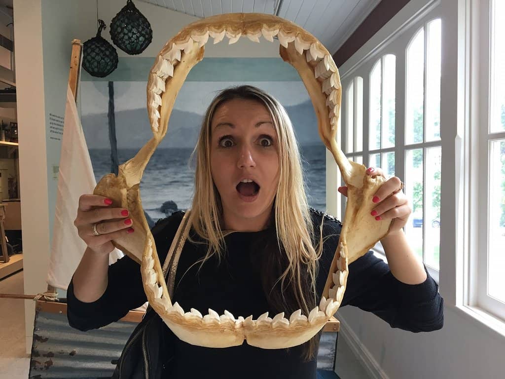 The Railway's Impact