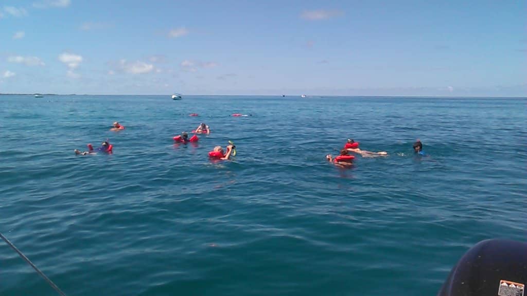 Manta Ray Encounters