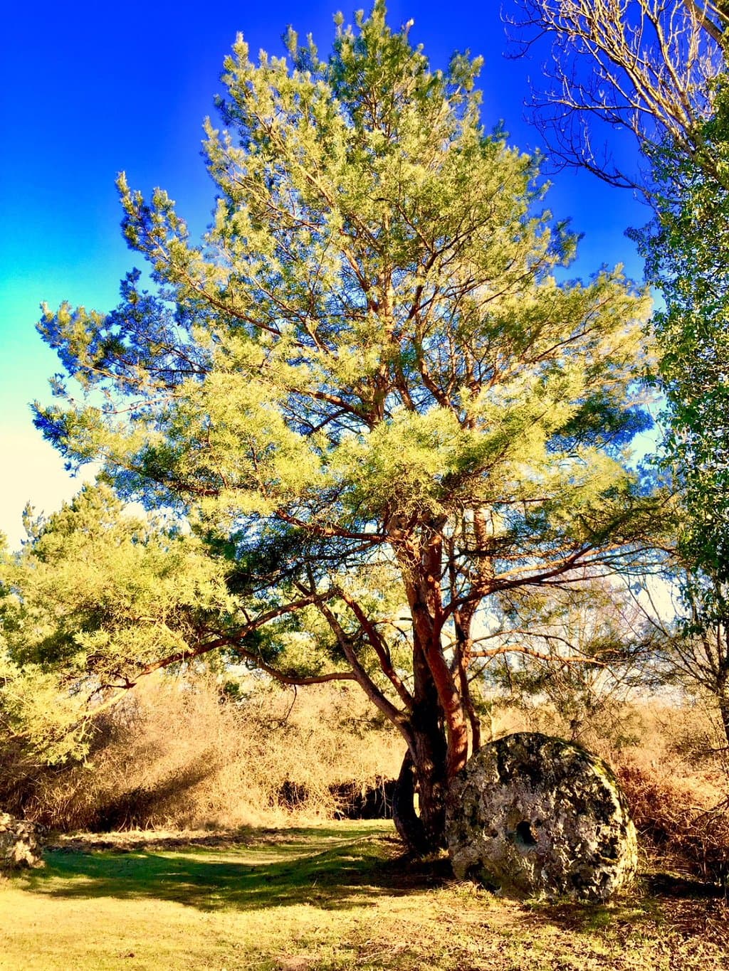 Sur le parking d'accueil des visiteurs, l'accès aux sentiers