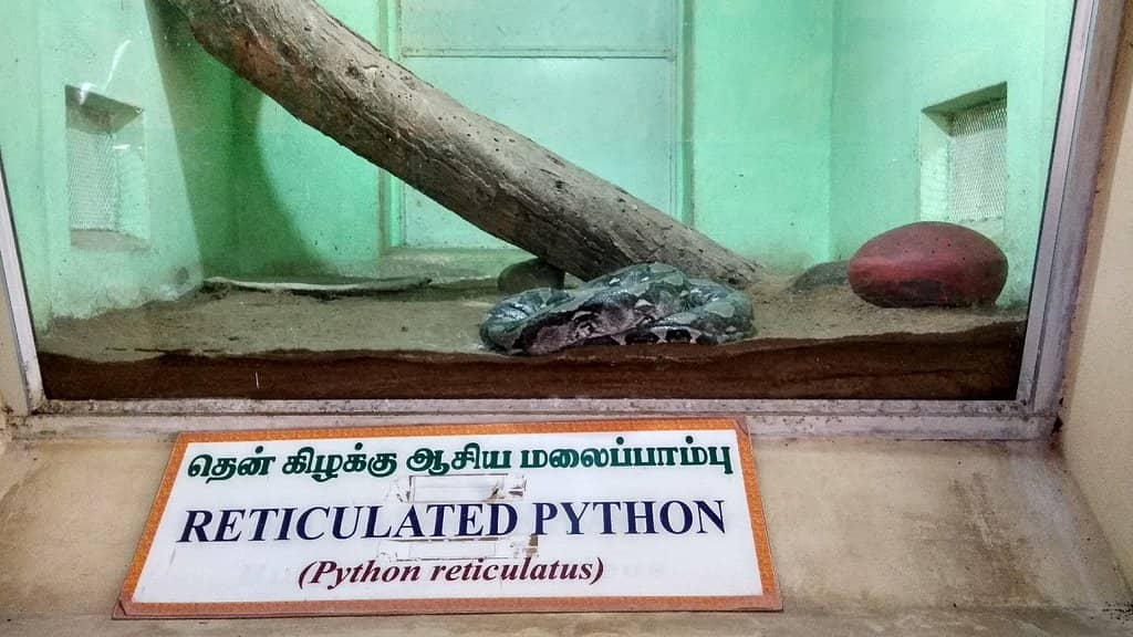 Snake Park