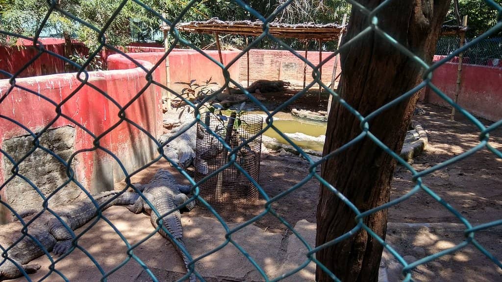 Snake Park