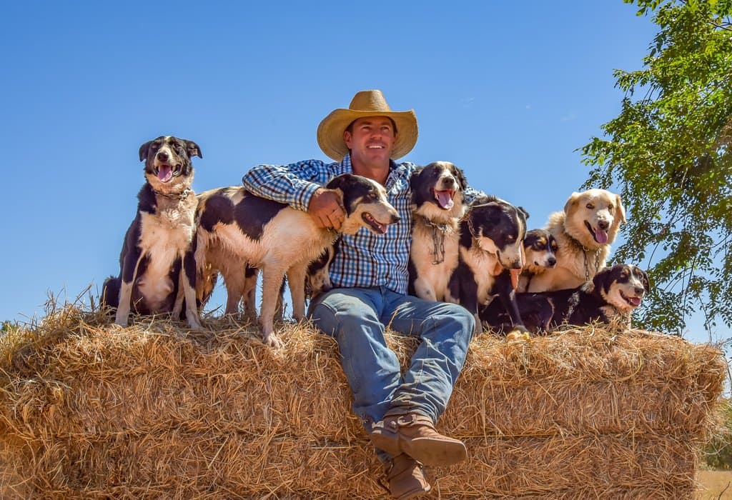 Tom Curtain of Katherine Outback Experience with his esteemed team of working dogs