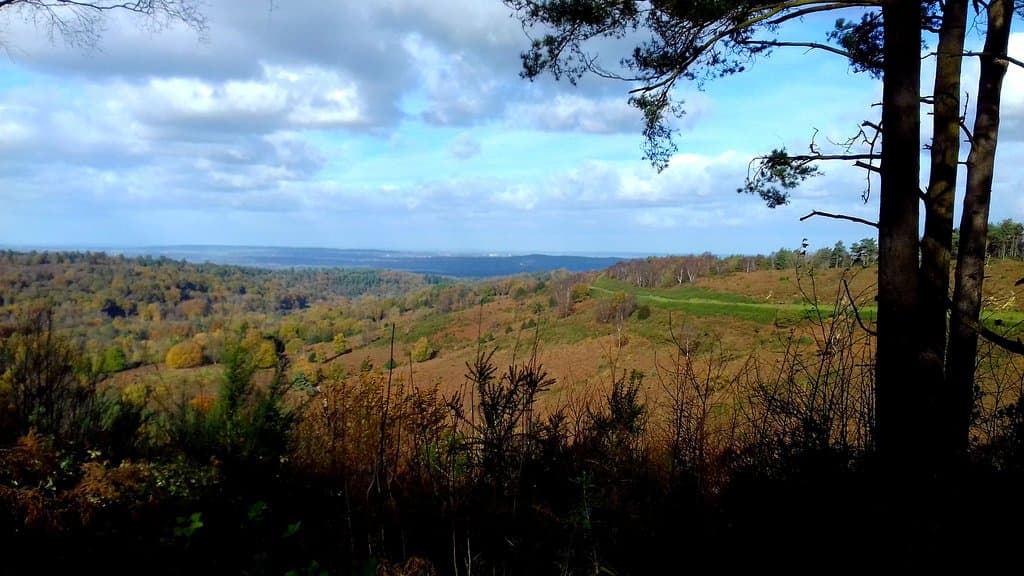 View north across the Devils Punch Bowl