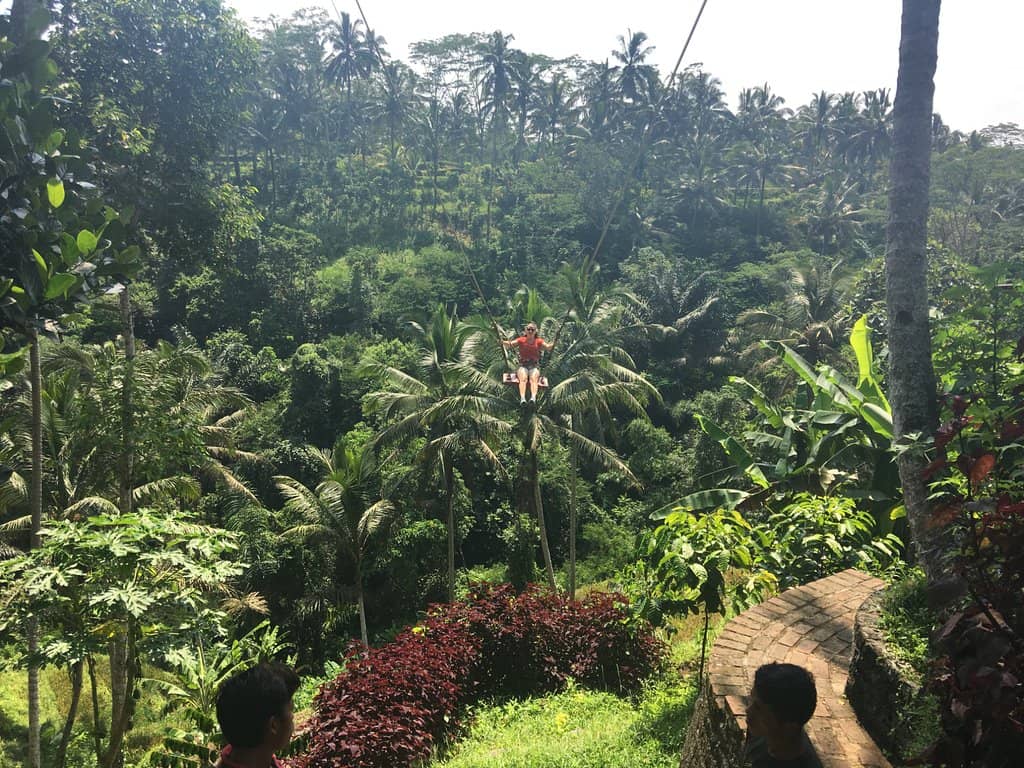 Coffee & Herbal Tea Sampler
