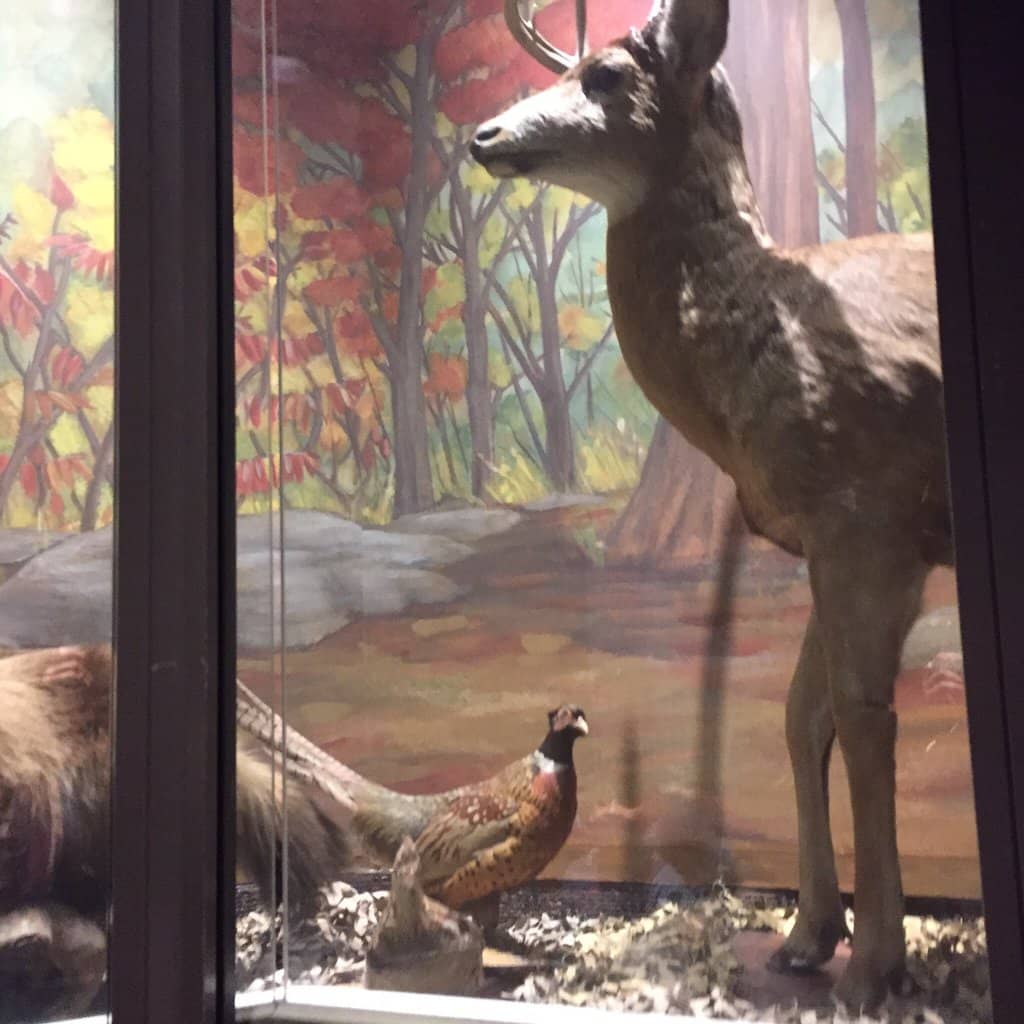 Interactive Science Exhibits