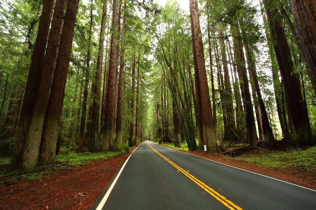 Great Drive!