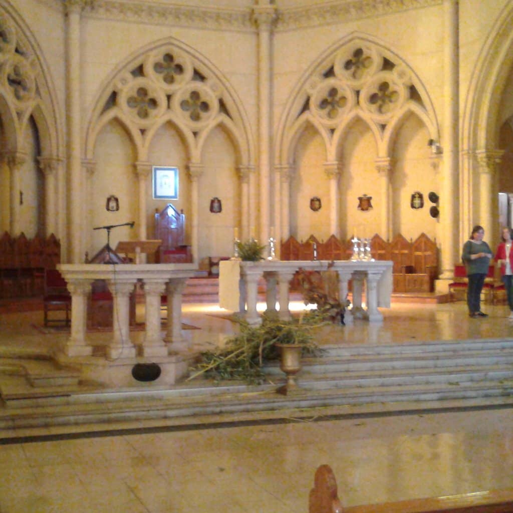 Pipe Organ Performances