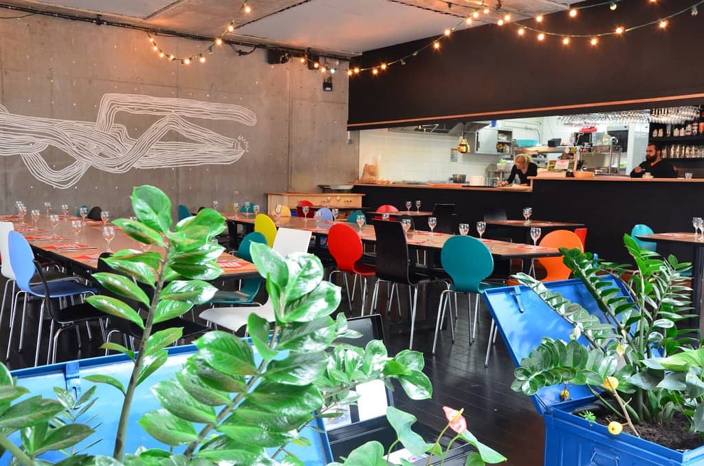 Diverse Musical Performances