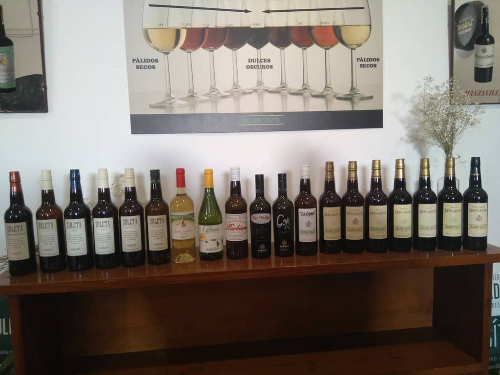 Sensory Wine Tour