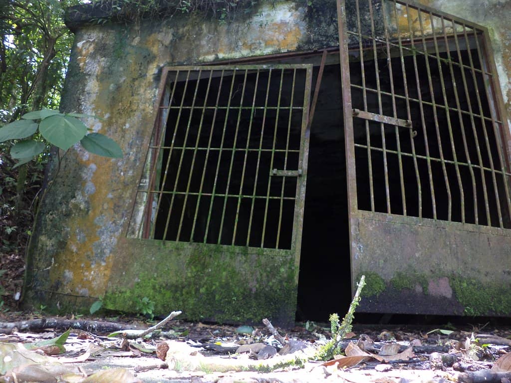 Tranquil Natural Escape