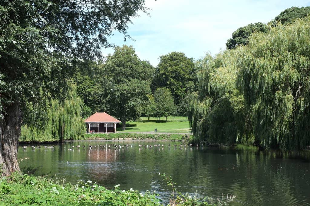 The Scenic Suspension Bridge