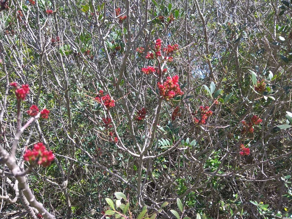 Outdoor Fitness Zone