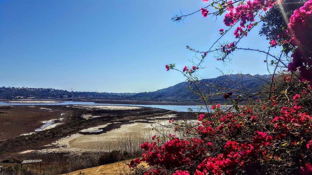 View of the lagoon from Batiquitos Road