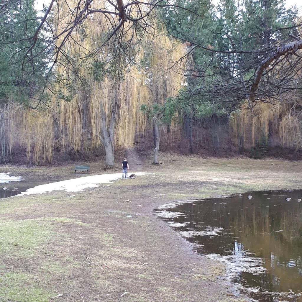 Shannon Lake Loop Trail