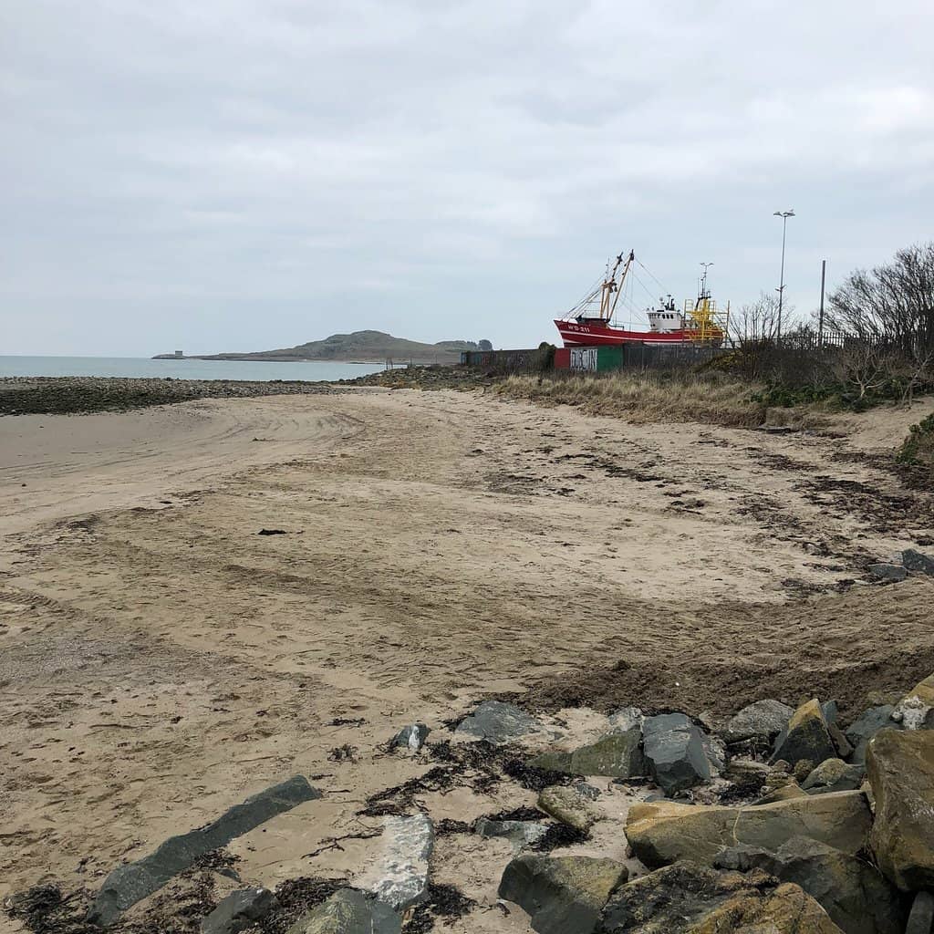 Vibrant Port and Seafood Delights