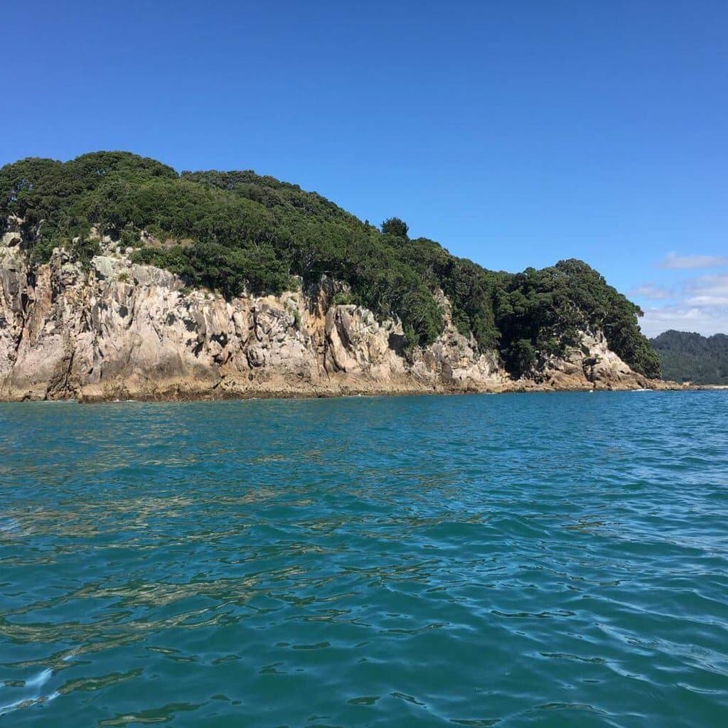 One of the islands beside Whenuakura island