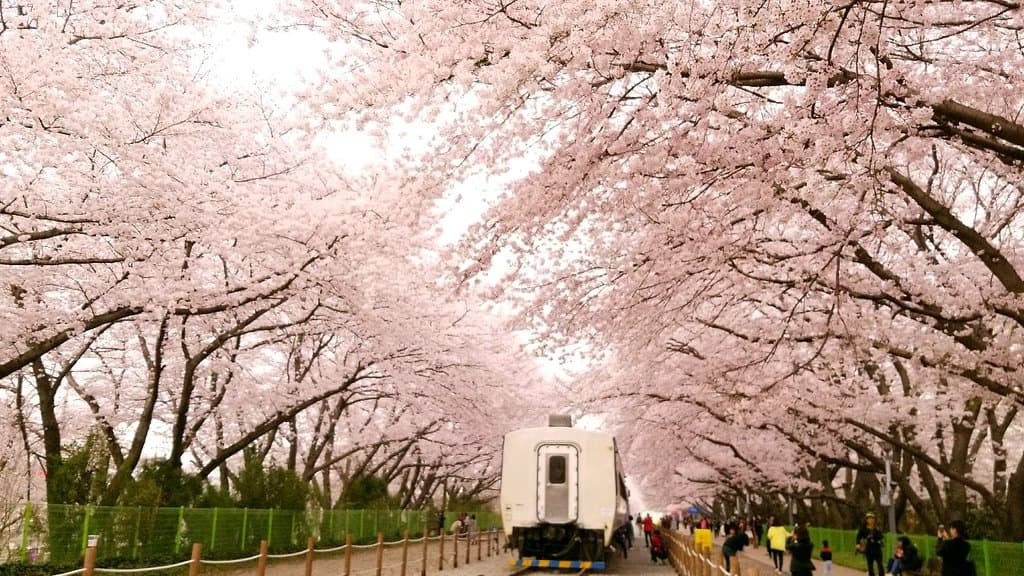 Gyeonghwa Station Jinhae