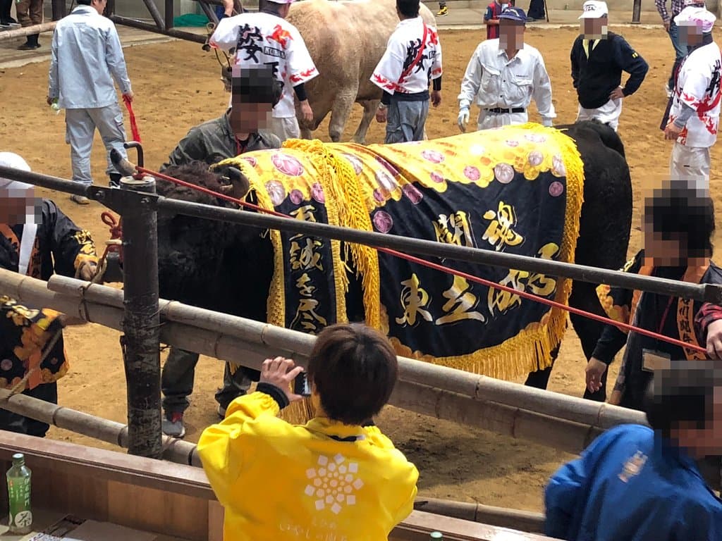 チャンピオン東立成號