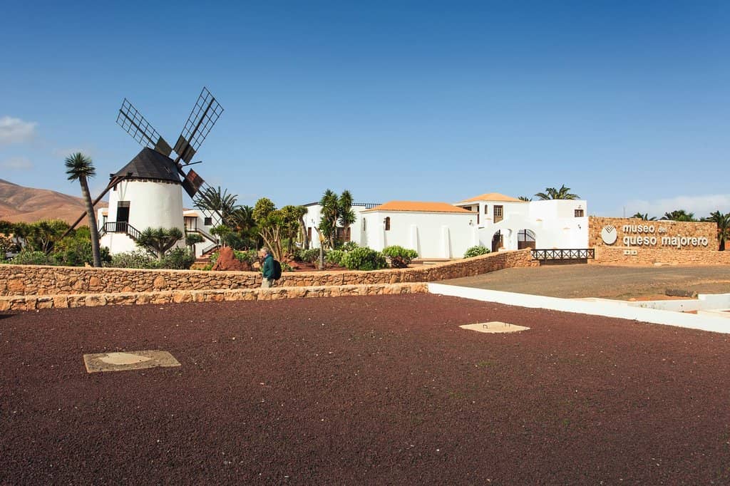 Eclectic Cactus Garden