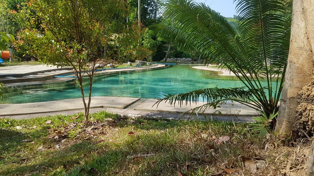 Natural Hot Spring Pools