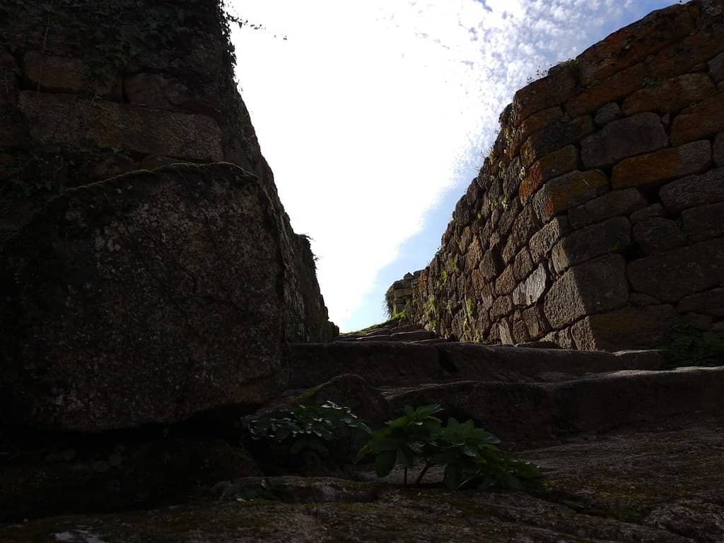 The Main Tower