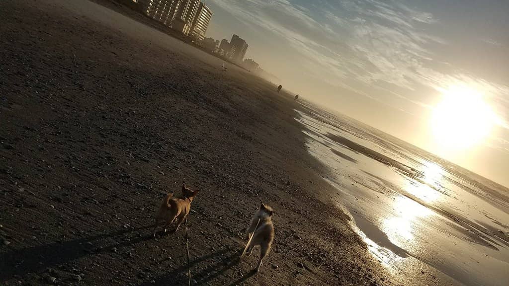 Vertical photo