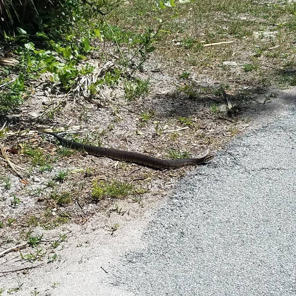 Children's Playground