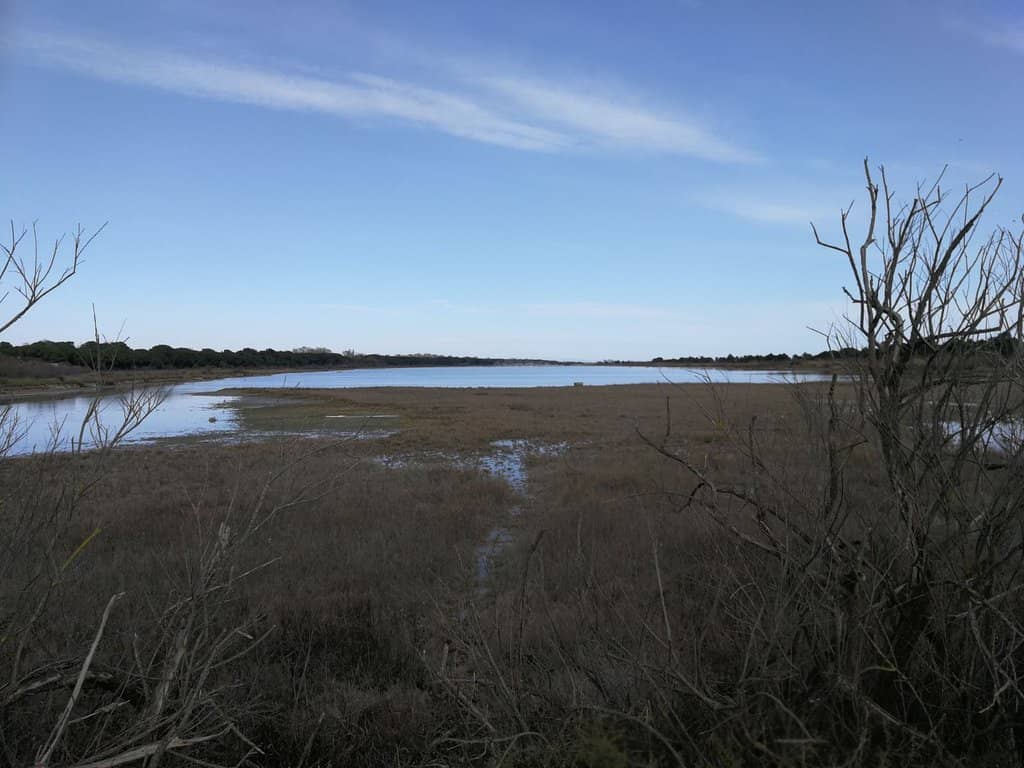 Naturist Beach Experience