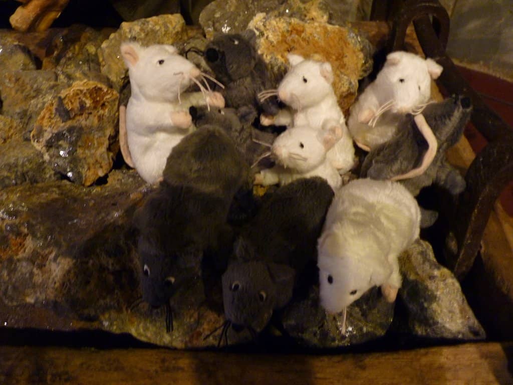 Interactive Exhibits