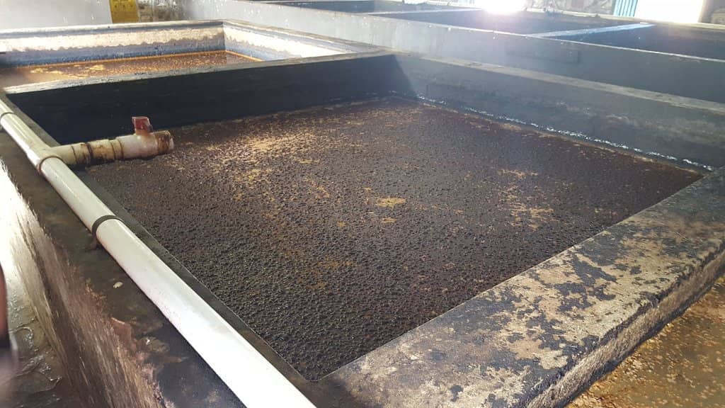 Traditional Rum Production