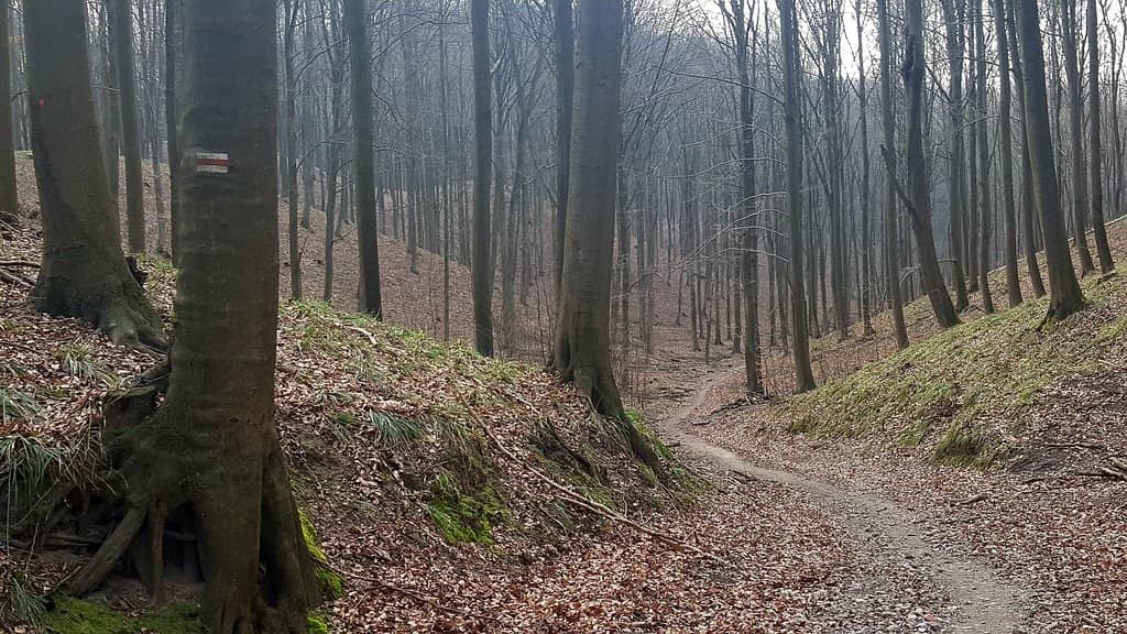 Hidden Lake